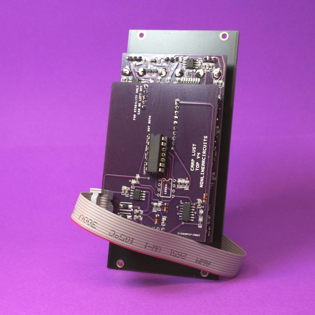 Nonlinearcircuits Is Carp Lust Wrong?