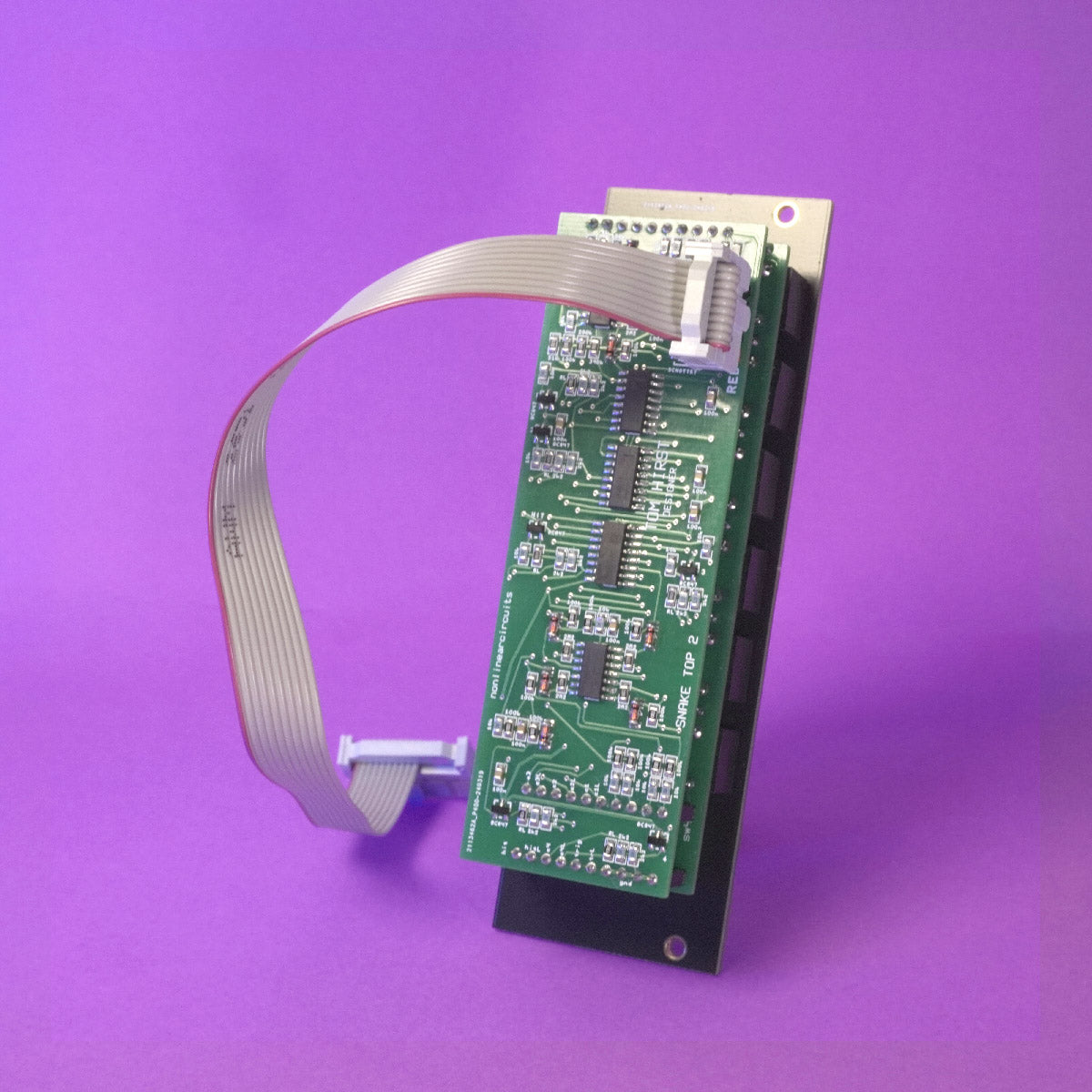 Nonlinearcircuits Snake Joke