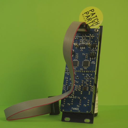 Jakplugg Twiigs (Mutable Instruments Branches x2)