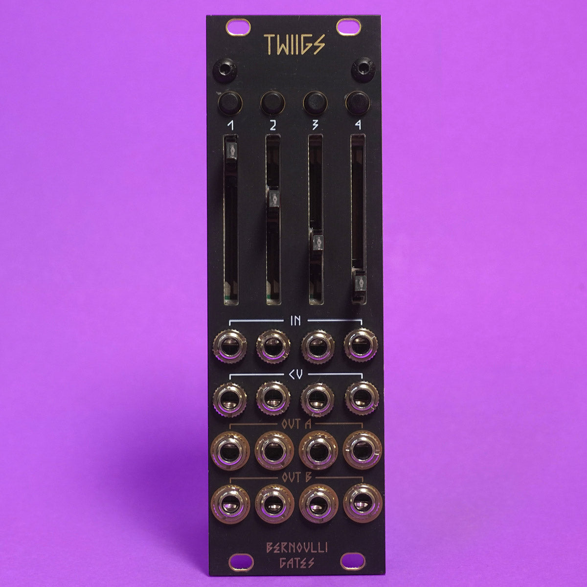 Jakplugg Twiigs (Mutable Instruments Branches x2)